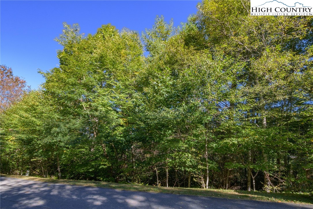 Lot 37 White Fox Lane