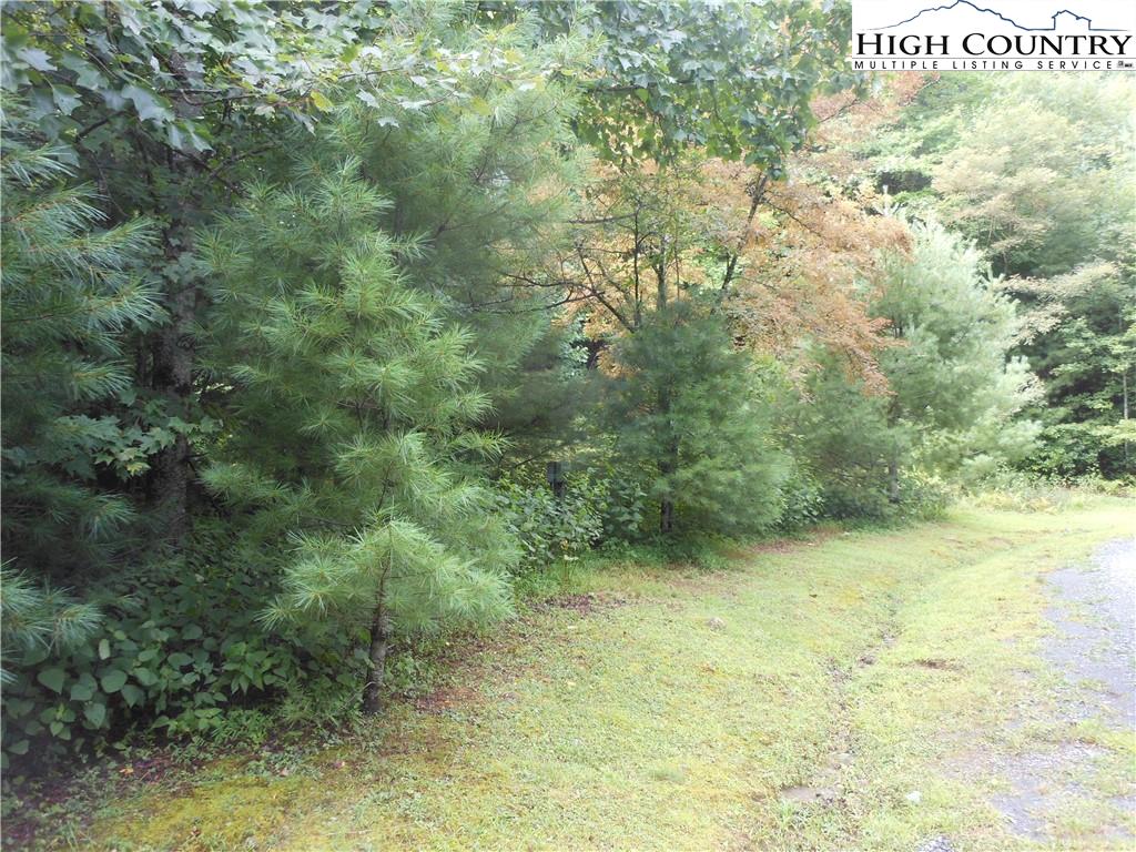 Lot 37 Wildcat Estates Drive