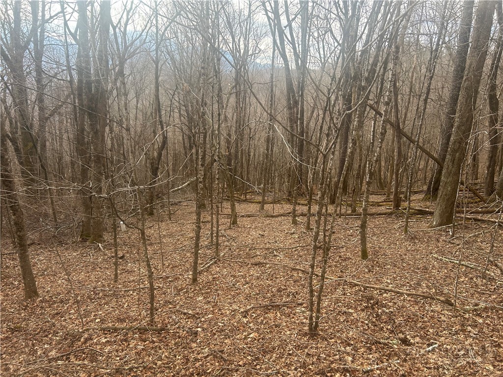 lot 39 Rainbow Ridge Road