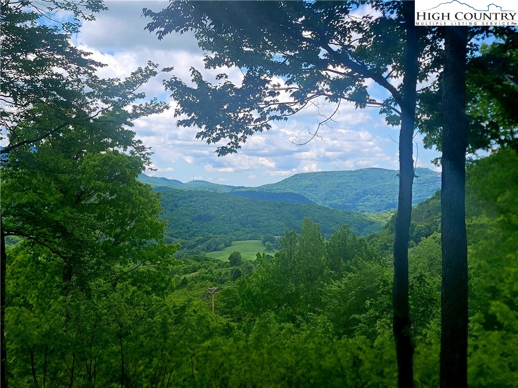 Lot 39 Skycamp Trail