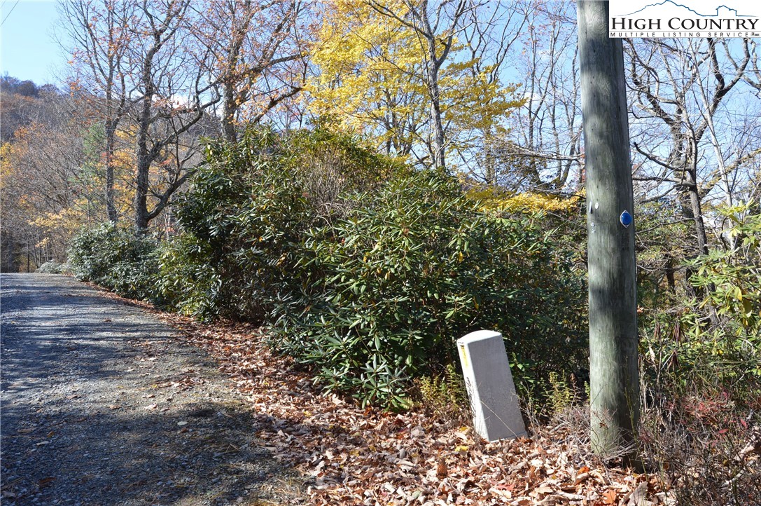 Lot #4 Roger's Green Mountain