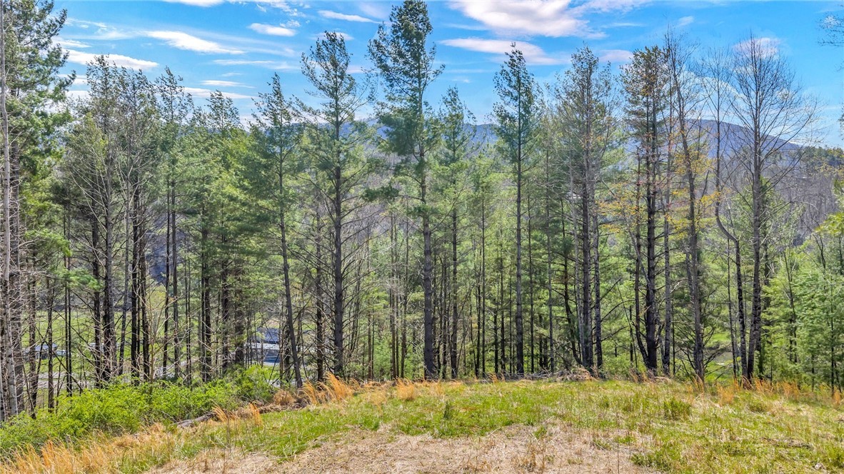 Lot 4 Venue Views Drive