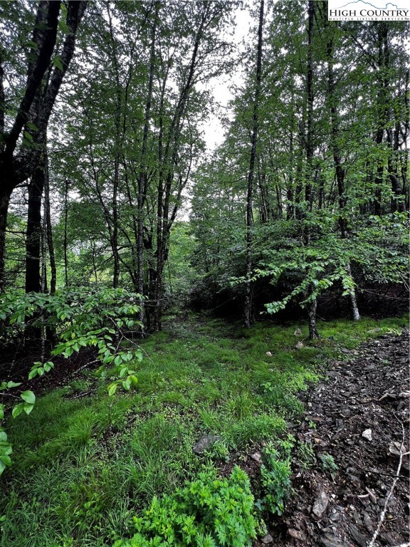 Lot 40 E Cielo Road