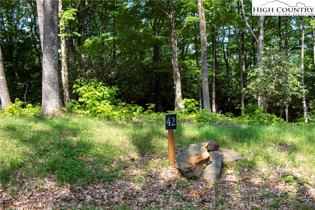 Lot 42 Poplar Forest Drive