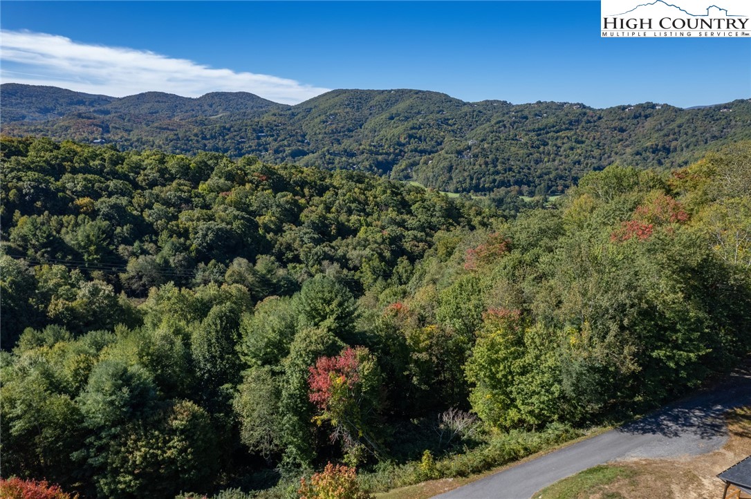 Lot 42 White Fox Lane