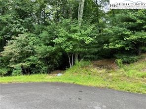 Lot 43 Creek Court