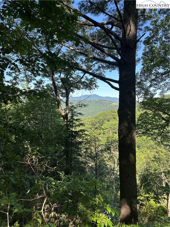 Lot 43 Quail Hollow Drive