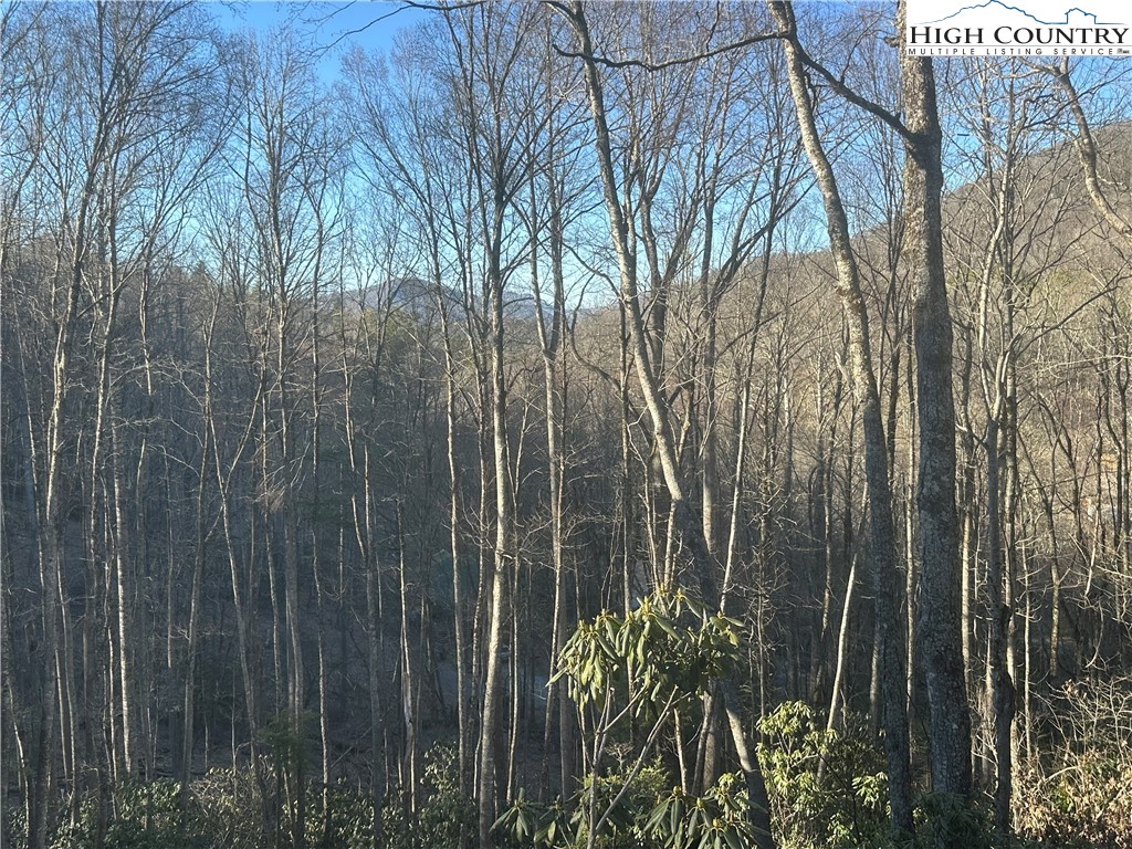 Lot 43 Silver Fox Drive