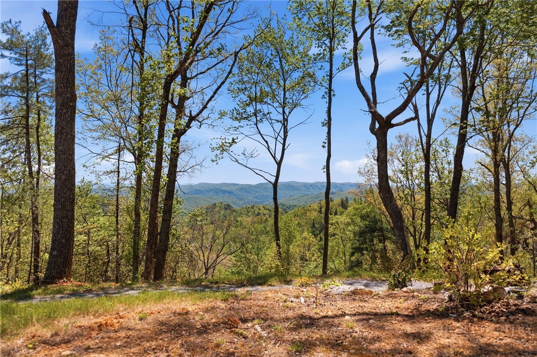 Lot 44 Wildcat Wilderness Parkway