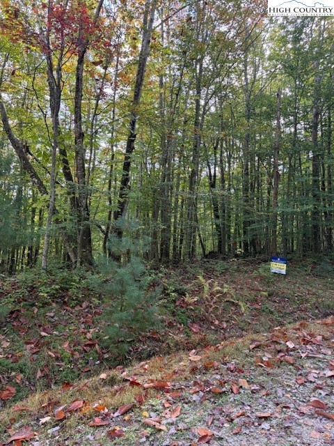 Lot 44A Buckeye Ridge Road