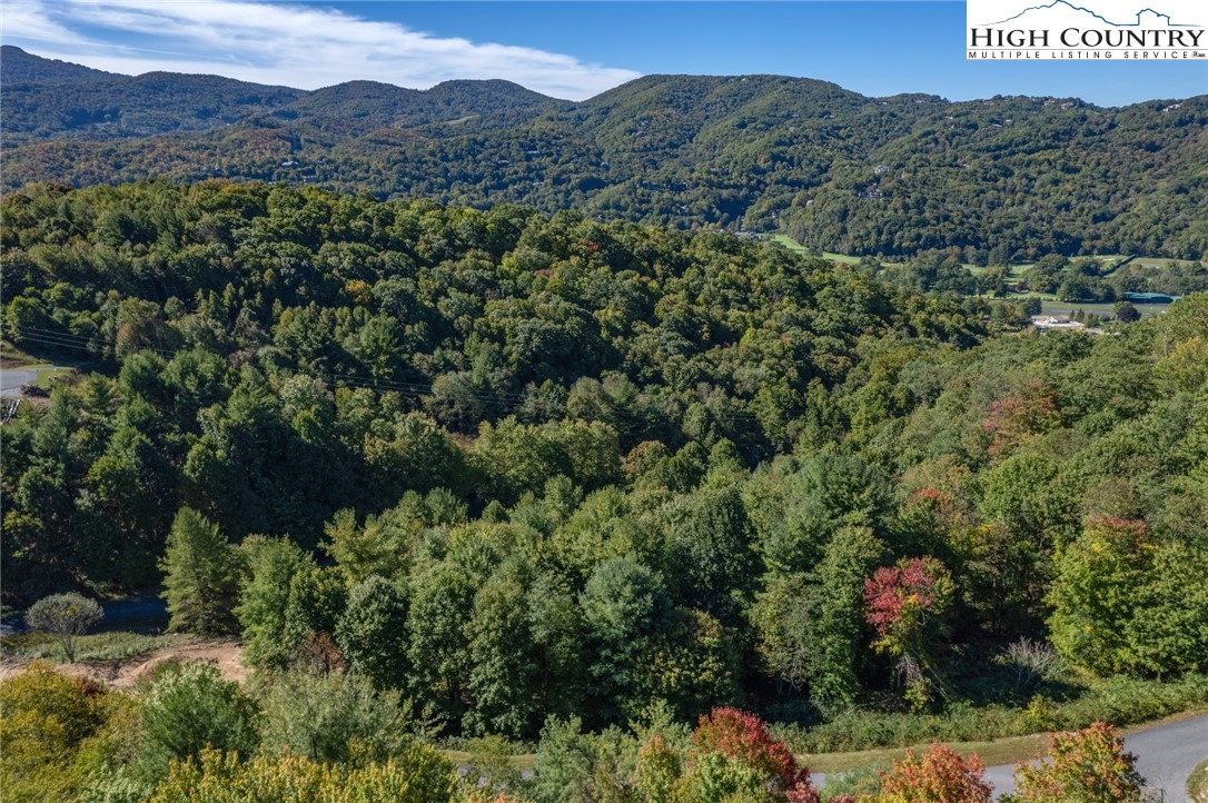 Lot 46 W Silver Springs Drive