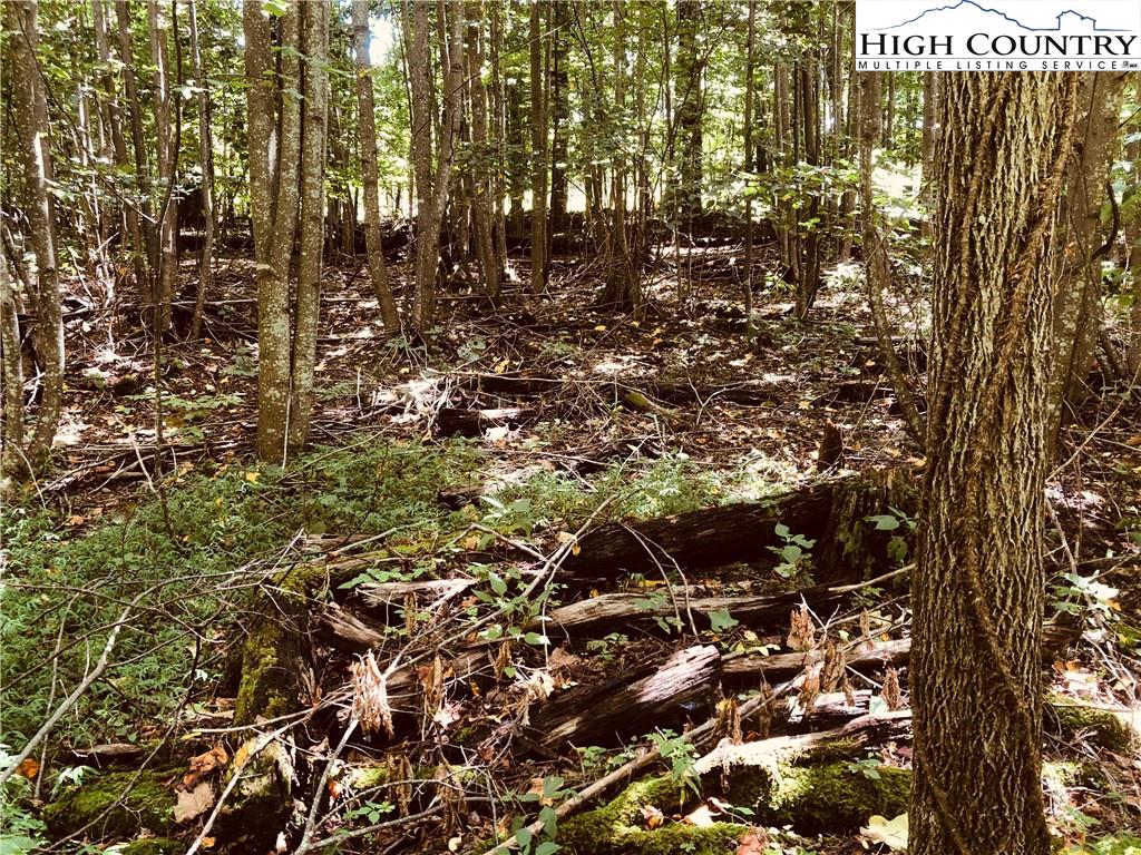 Lot 48 Birchwood Lane