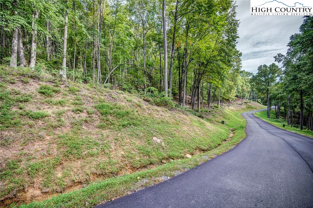 Lot 49 Wildcat Wilderness Parkway