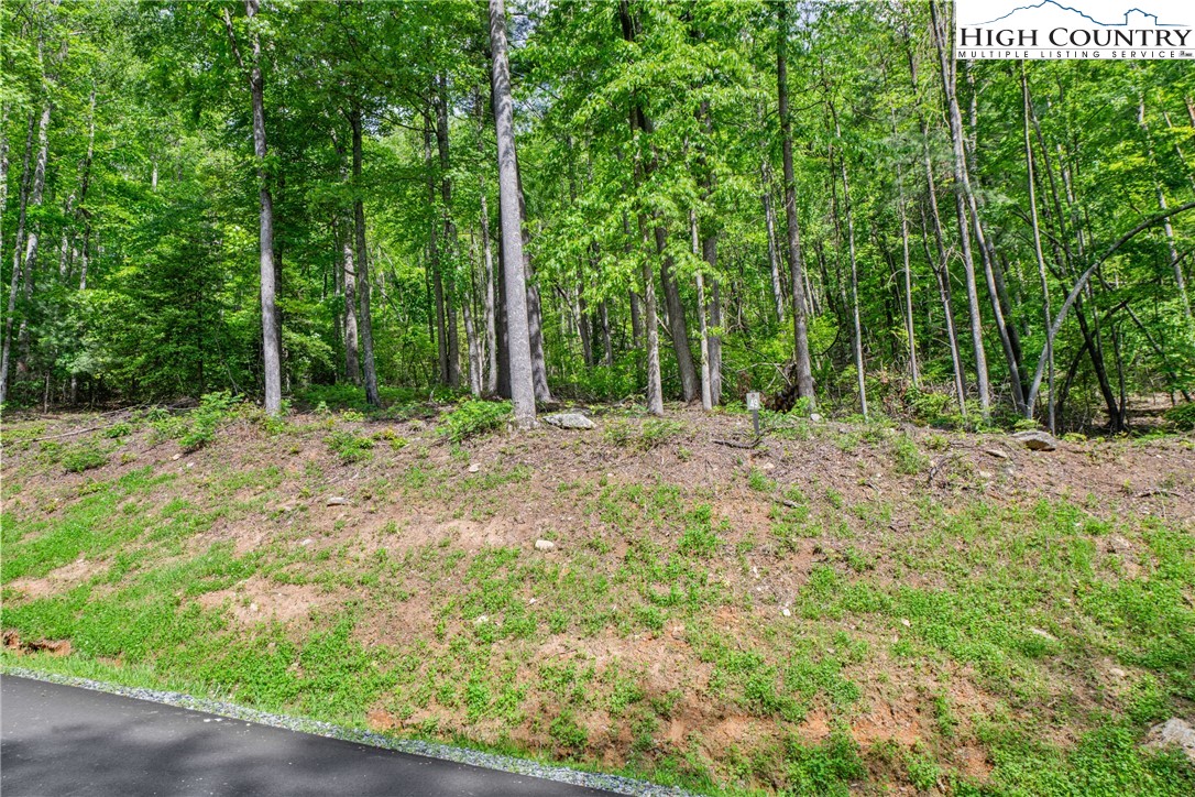 Lot 49 Wilderness Parkway