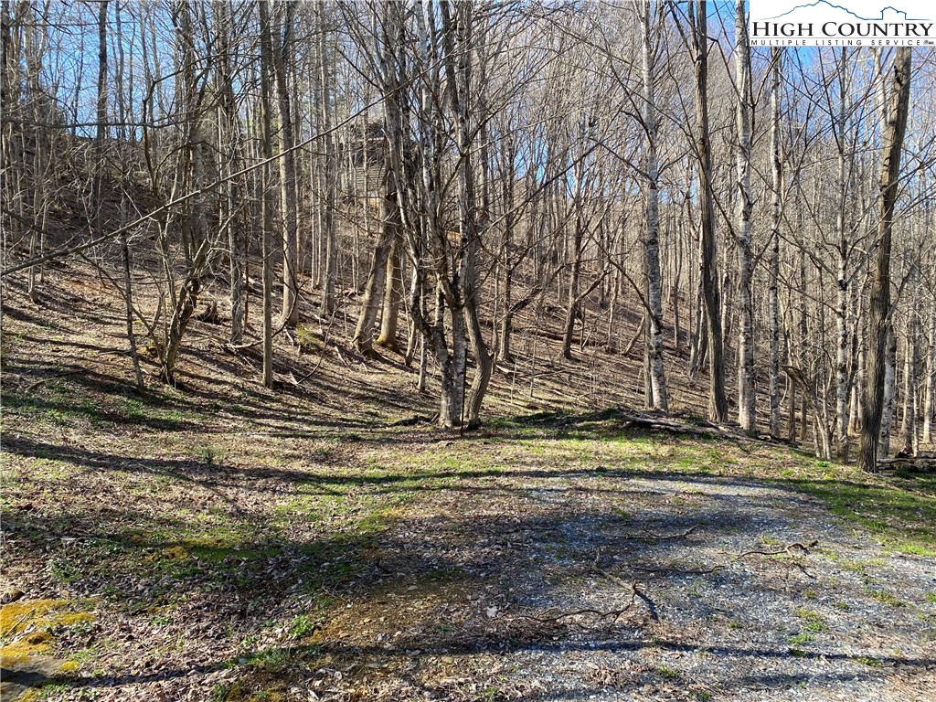 Lot 5 Lakespur Trail