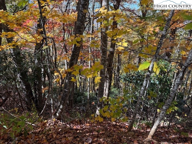 Lot 50-51 Poplar Trail