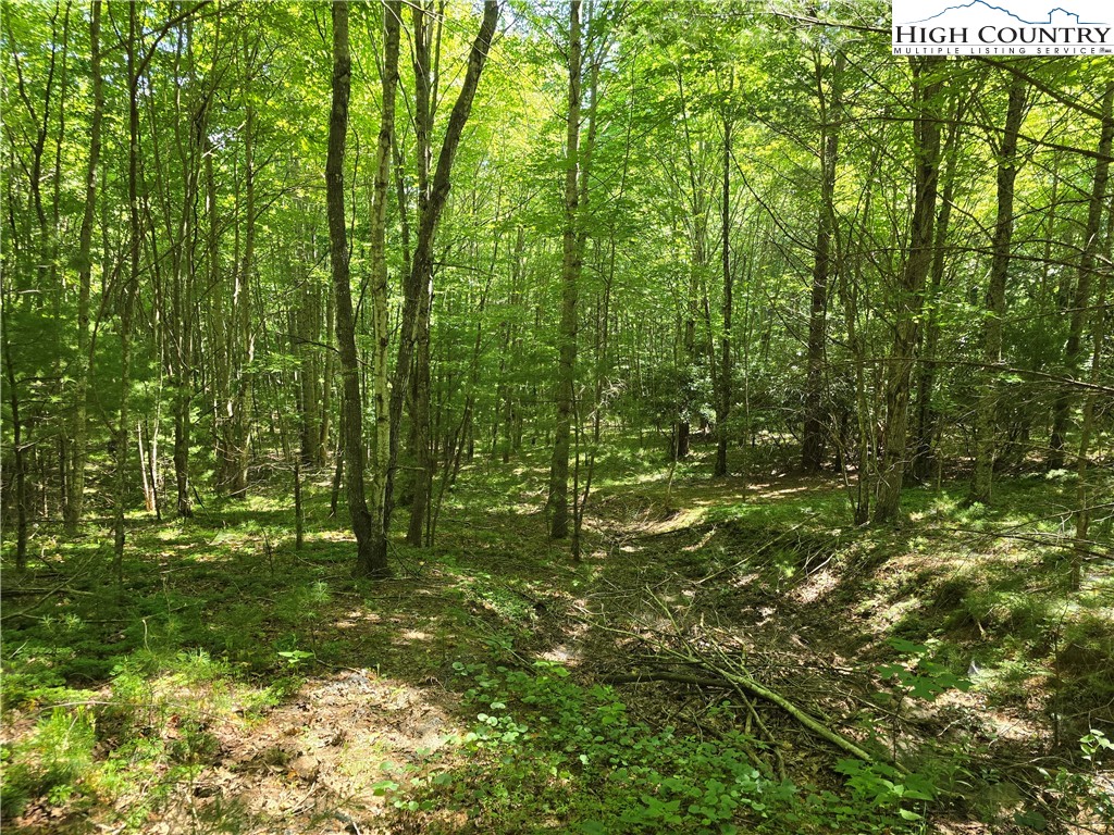 Lot 50 Deer Spring Ln/White Tail Trail