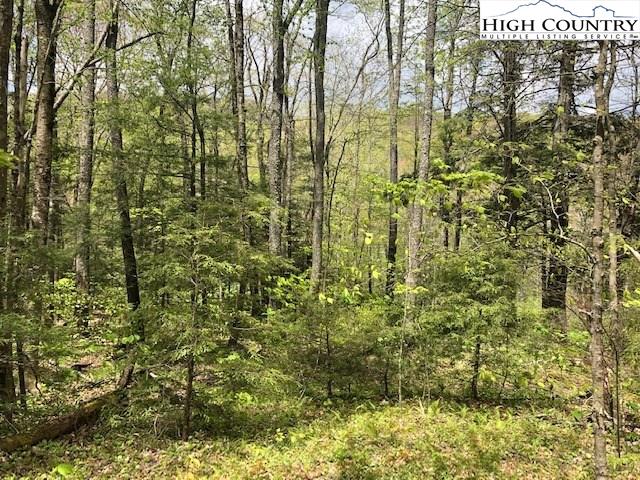 Lot 50 Grand View Trail