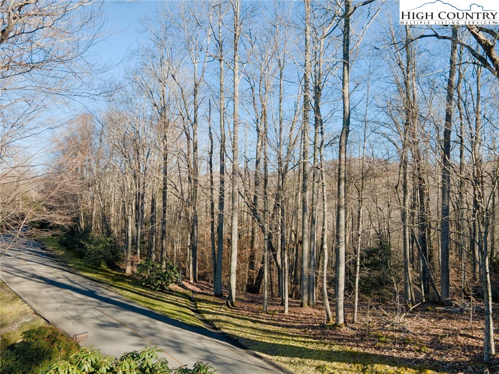 Lot 52 Raven Ridge Road