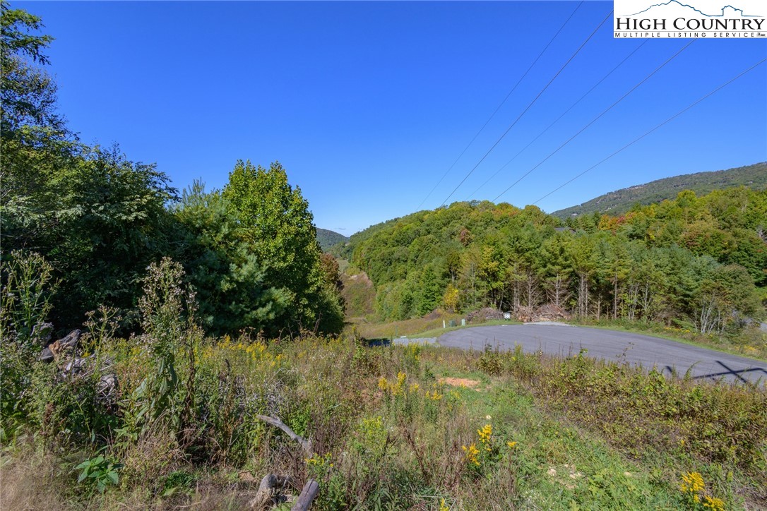 Lot 52 Snow Fox Lane