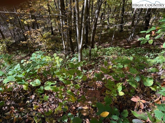 Lot 53 & 53a Poplar Trail