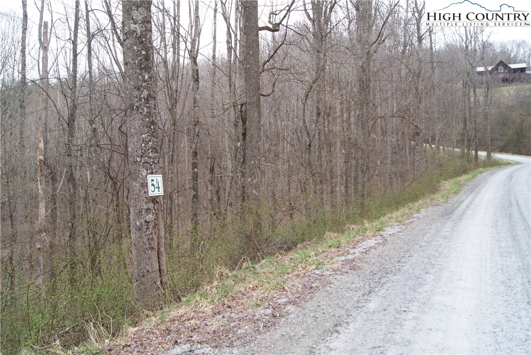 Lot 54 Toms Knob Road