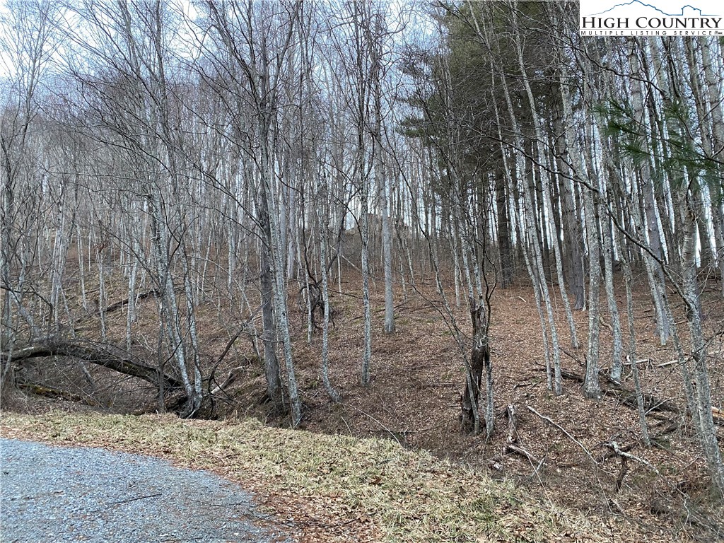 Lot 55 Laurel Mountain Drive