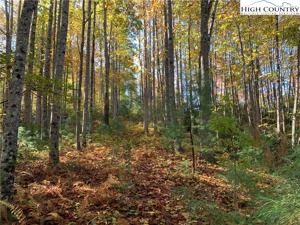 Lot# 556 Timber Rock Drive