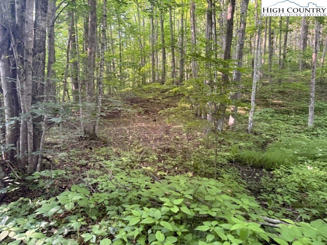 Lot 56 Beechwood Circle