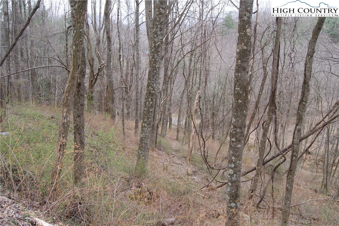 Lot 56 Toms Knob Road