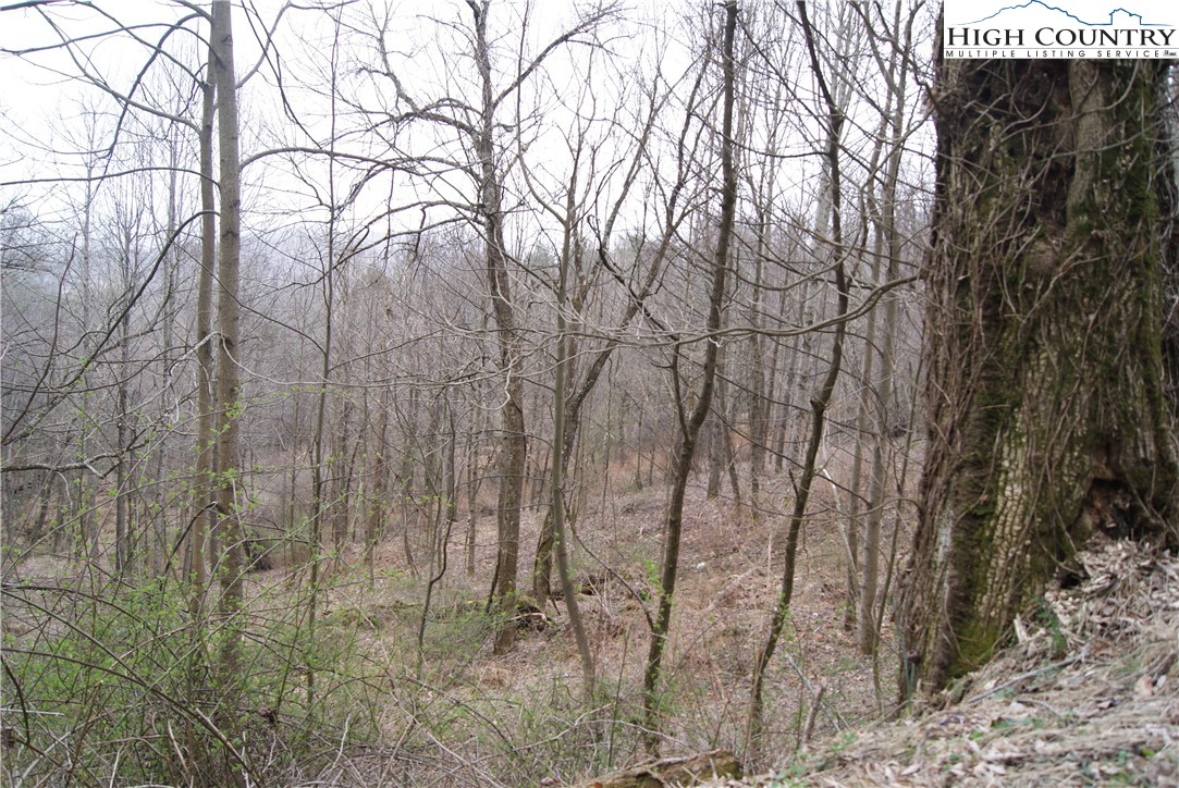 Lot 57 Toms Knob Road