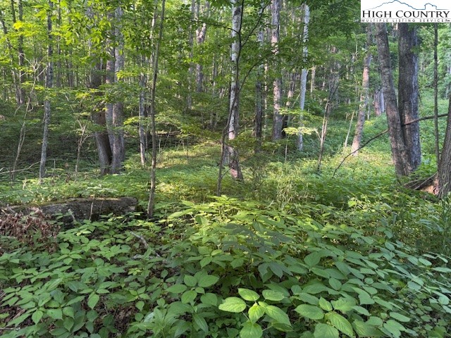Lot 58 & 59 Beechwood Circle
