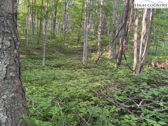 Lot 58 Beechwood Circle