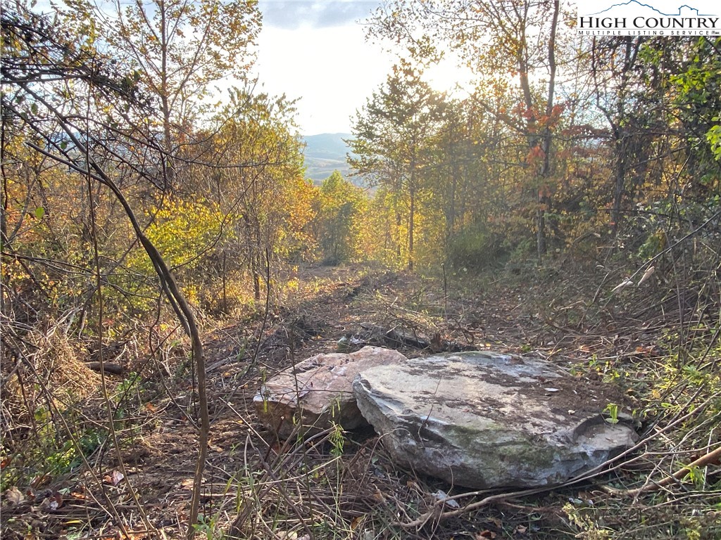 Lot 58 Toms Knob Road