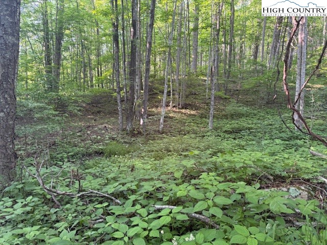 Lot 59 Beechwood Circle