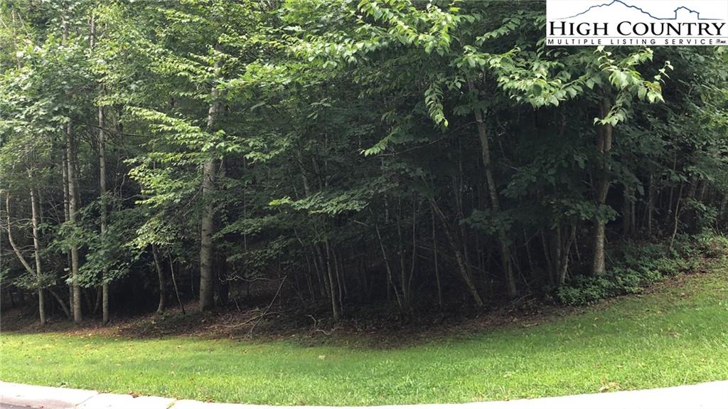 MLS 224050 Lot 59 Crooked Creek Lane, Banner Elk, NC 28604