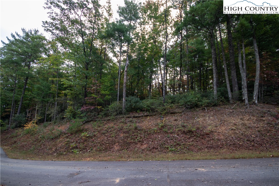Lot# 594 Timberline Drive