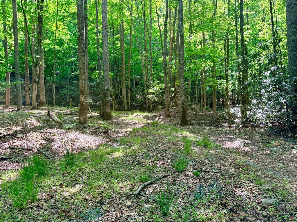 Lot 5A Buckeye Ridge Road