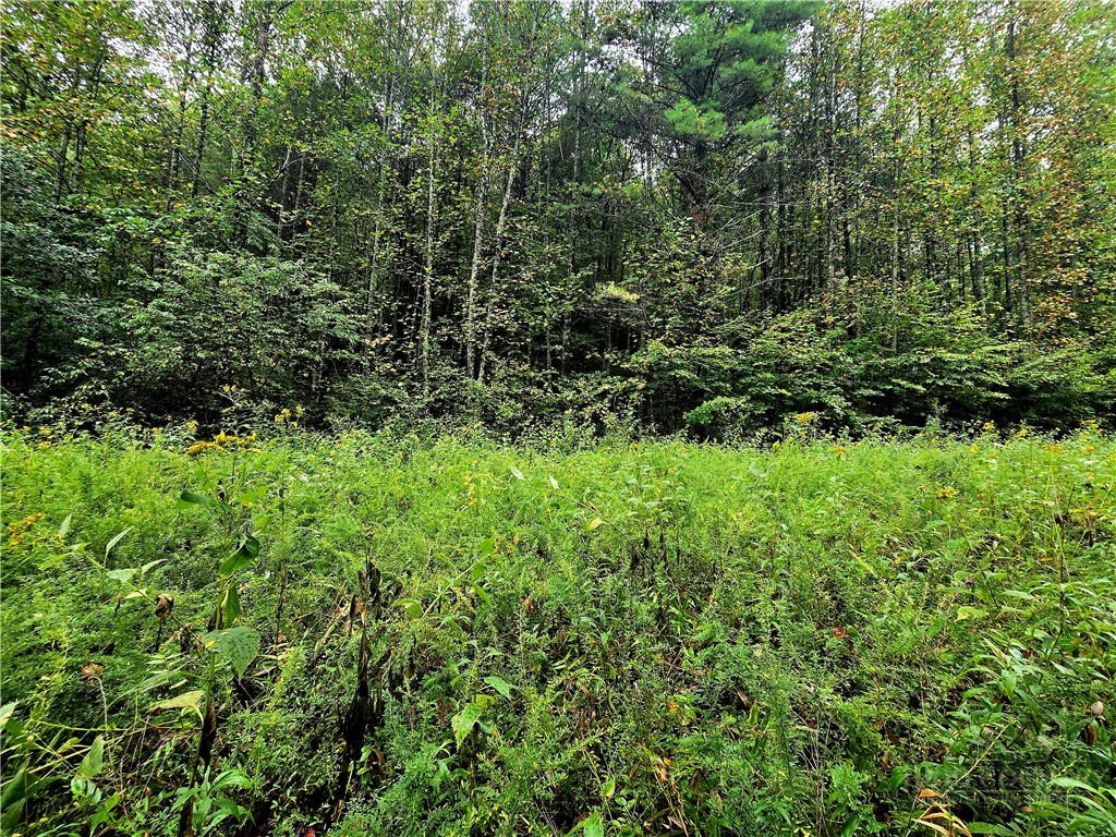 Lot 6 N. Old NC Hwy 16