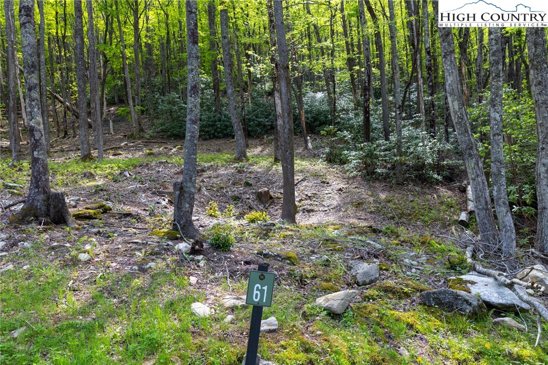 Lot 61 Wildcat Wilderness Parkway