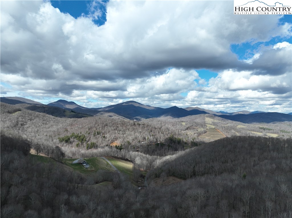Lot 65 Poplar Forest Drive
