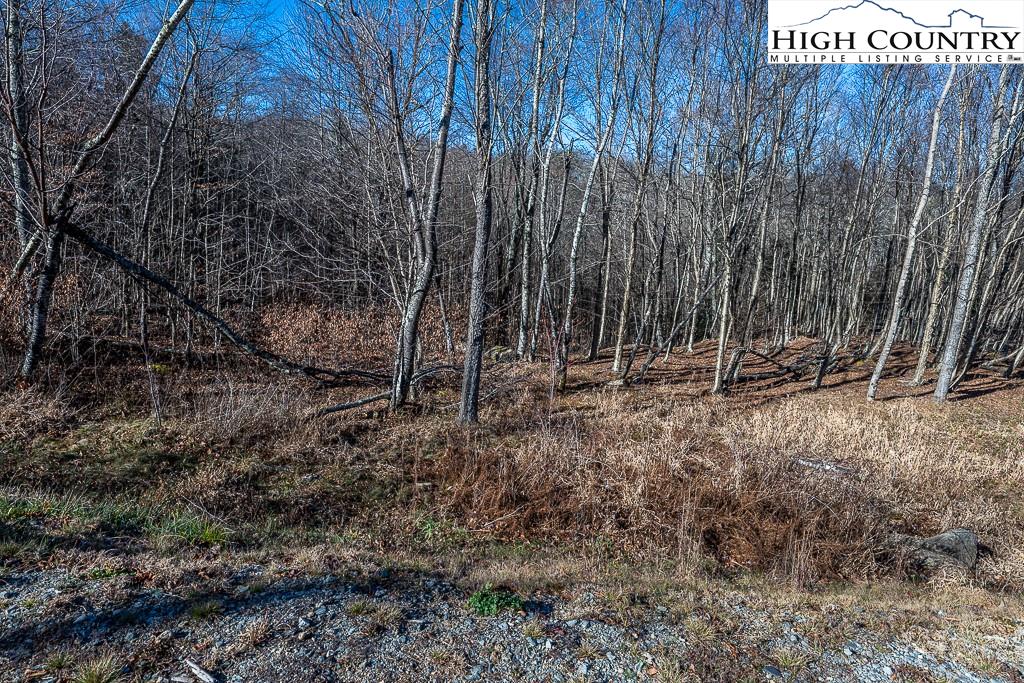 MLS 226292 Lot 66 Eagles Nest, Banner Elk, NC 28604