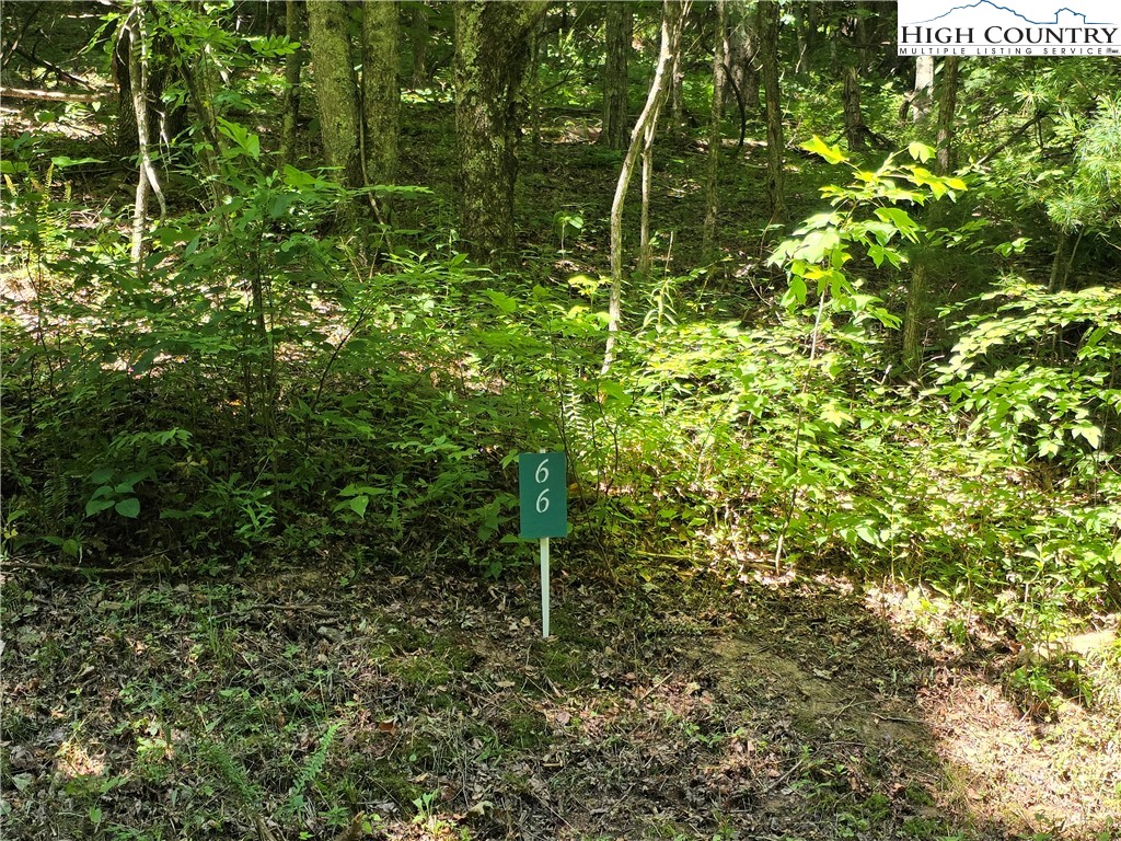 Lot 66 White Tail Trail