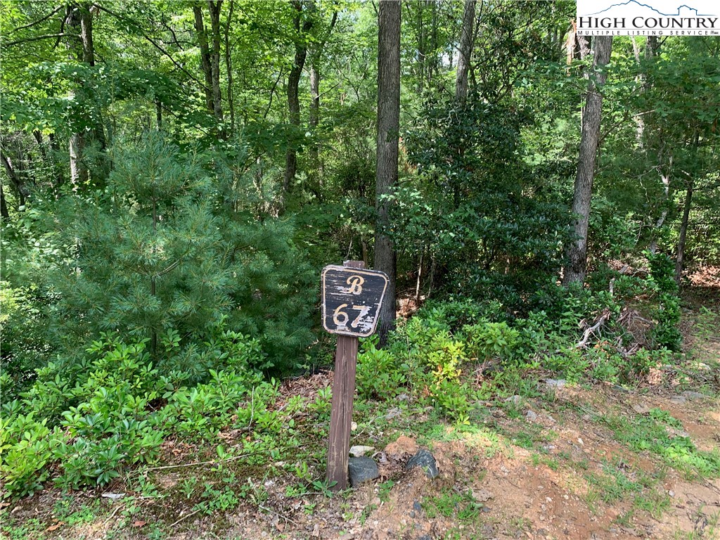 Lot #67 Autumn Fern Trail