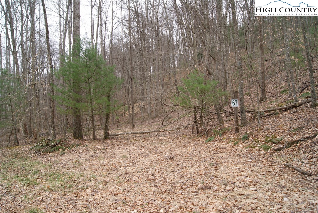 Lot 67 Laurel Mountain Drive