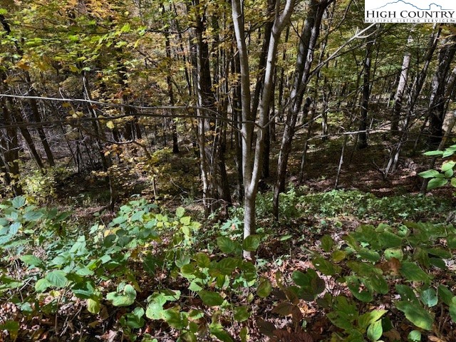 Lot 677 Three Top Trailhead Access Road