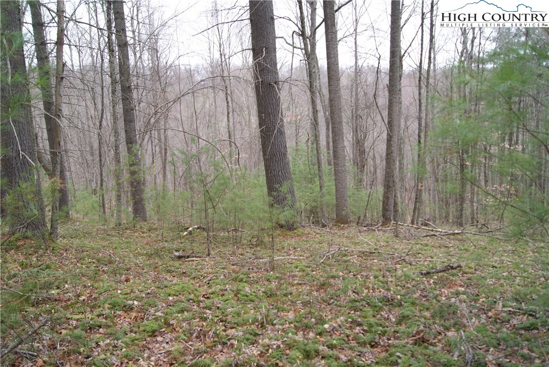 Lot 69 Laurel Mountain Drive