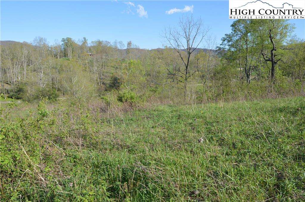 MLS 217216 Lot 78 Irwin Valley Irwin Farm Road, Sparta, NC 28675