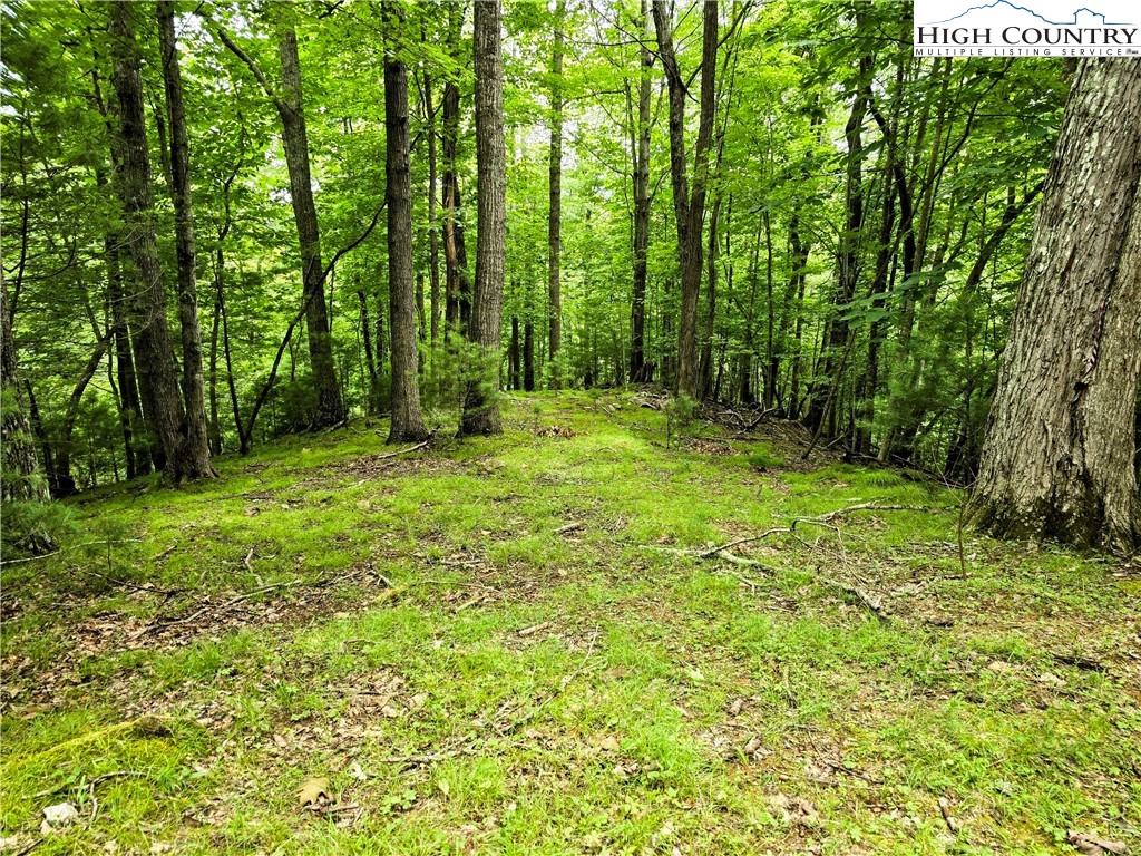 Lot 7 Brightwood Trail