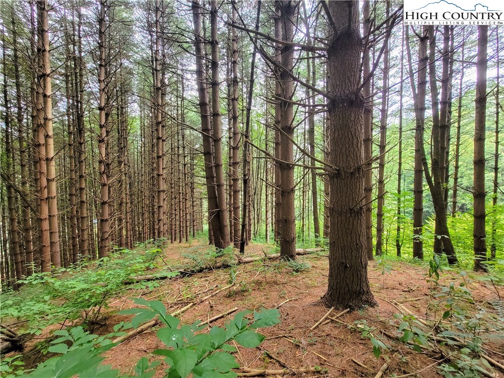 Lot 7 West Mill Creek Est